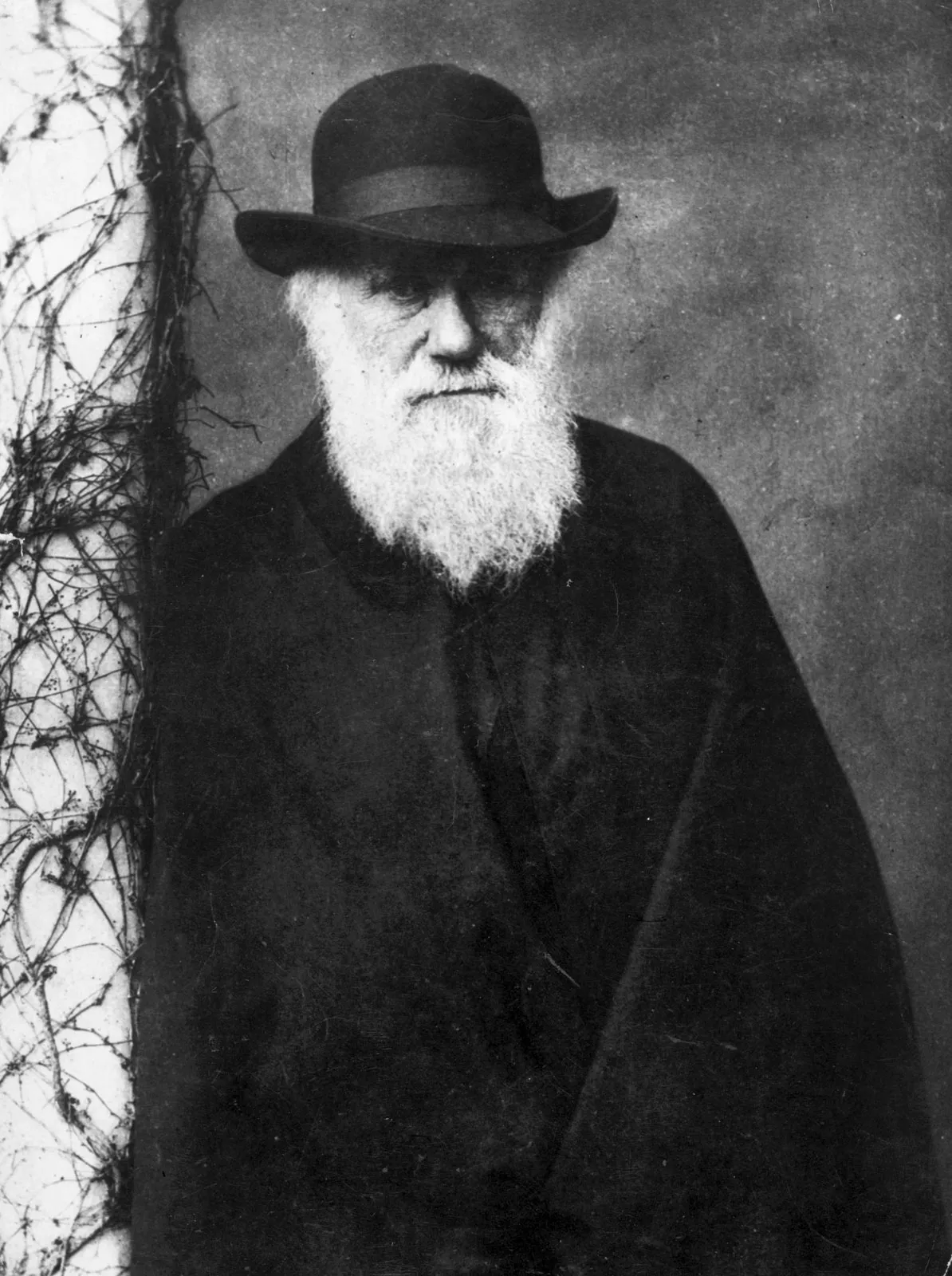 charles darwin